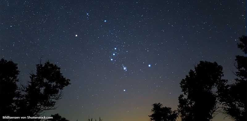 Sternbild Orion am Nachhimmel hinter Bäumen. Sternbilder, ASS Altenburger