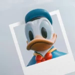 Kopf von Donald Duck schaut aus Polaroid Foto heraus. Im Hintergrund blauer Himmel. Donald Duck Bilder, Bicycle Spielkarten