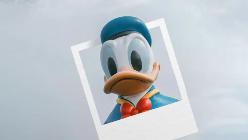 Kopf von Donald Duck schaut aus Polaroid Foto heraus. Im Hintergrund blauer Himmel. Donald Duck Bilder, Bicycle Spielkarten